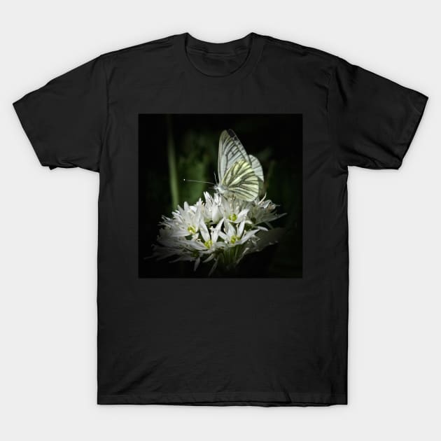 NOT TOO VAIN FOR GARLIC ! T-Shirt by dumbodancer